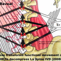 SelfDecompress's profile picture. S.E.L.F. (Self Evolve Lumbar Fascia) Decompress 24/7 Optimum Rigidity Flex Mobility Lx Spine Protocol
2018 #FirstinHuman LxSpine Standup MRI Rsrch Lic. Agreemnt