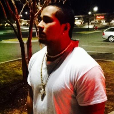 Mixed Martial Artist