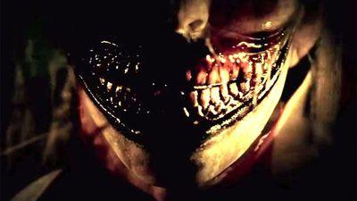 thecountrygator's profile picture. 