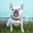 Team_Colby's profile image