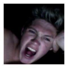 niall james horan,18,bisex