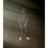 Khalil_Fresh's profile image