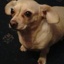 Wendy Rowley - @chidach4 - Twitter