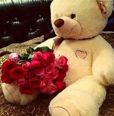 ilahe_aev's profile picture. 