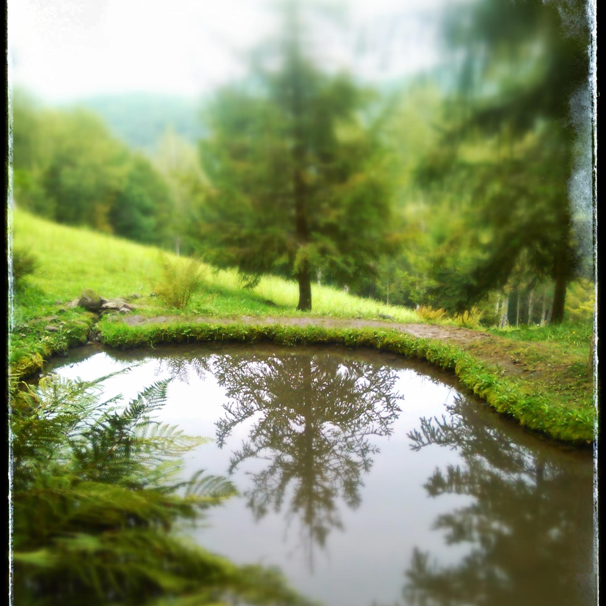 SzentesiFerenc's profile picture. 