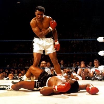 Just a simple scouse lad, and red who loves boxing and posts his opinions!