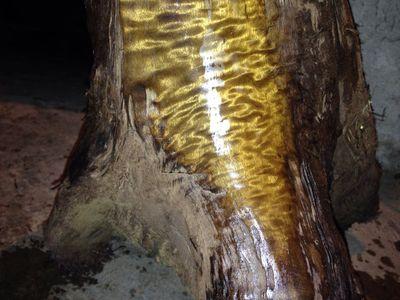 Sales Chinese emperors Millennium gloomy gold Nan Wood