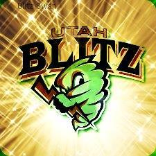 BLITZ CO LEADER
