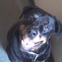 Michael Tauscher - @Tuckalicious1 - Twitter