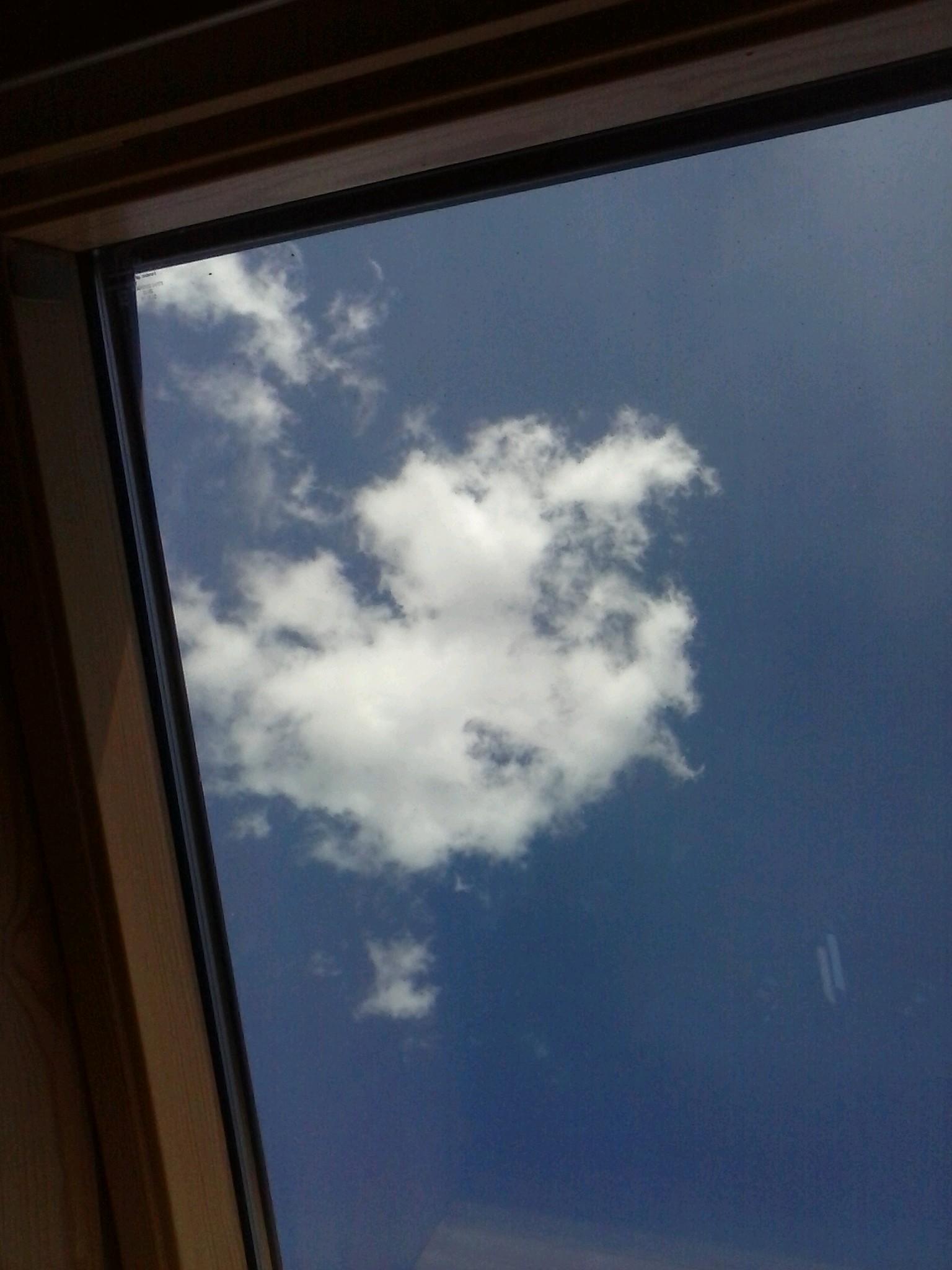 martiskov's profile picture. 