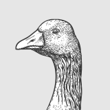 gef0rce's profile picture. Data Scientist, Kaggler