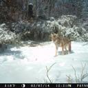 Doug Wicker - @doug_wicker - Twitter