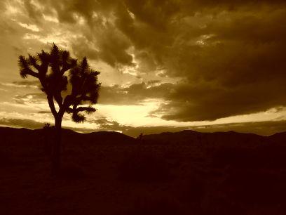 craimor's profile picture. 