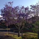 Caroline Ryan - @cryan_54 - Twitter