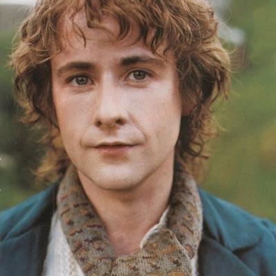 FoolOfAPeregrin's profile picture. 