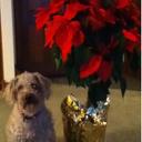 Kari Kirkpatrick - @karilynne42 - Twitter