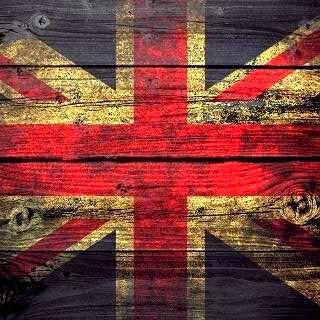 Follback? Just mention :)