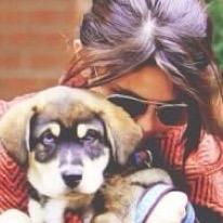 SelenaJ84034262's profile picture. I will always love @justinbieber and @selenagomez they r my life 4ever :) my best friends r always with me just like my BFF jesslyn:) @RobbieKay_ #PanNverFails