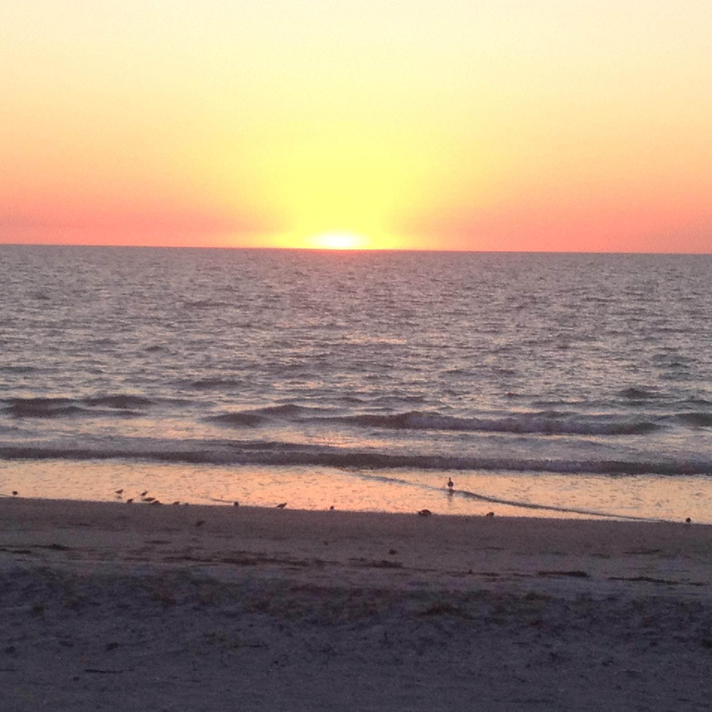 mdtolbert54's profile picture. 