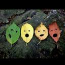 Ryan German - @ryangerman711 - Twitter