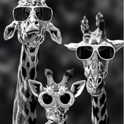 jarod_greg's profile picture. 