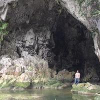 Matthew Bradley (@mrbradleyteach) 's Twitter Profile