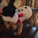 Kim Craft - @kimracefan3 - Twitter