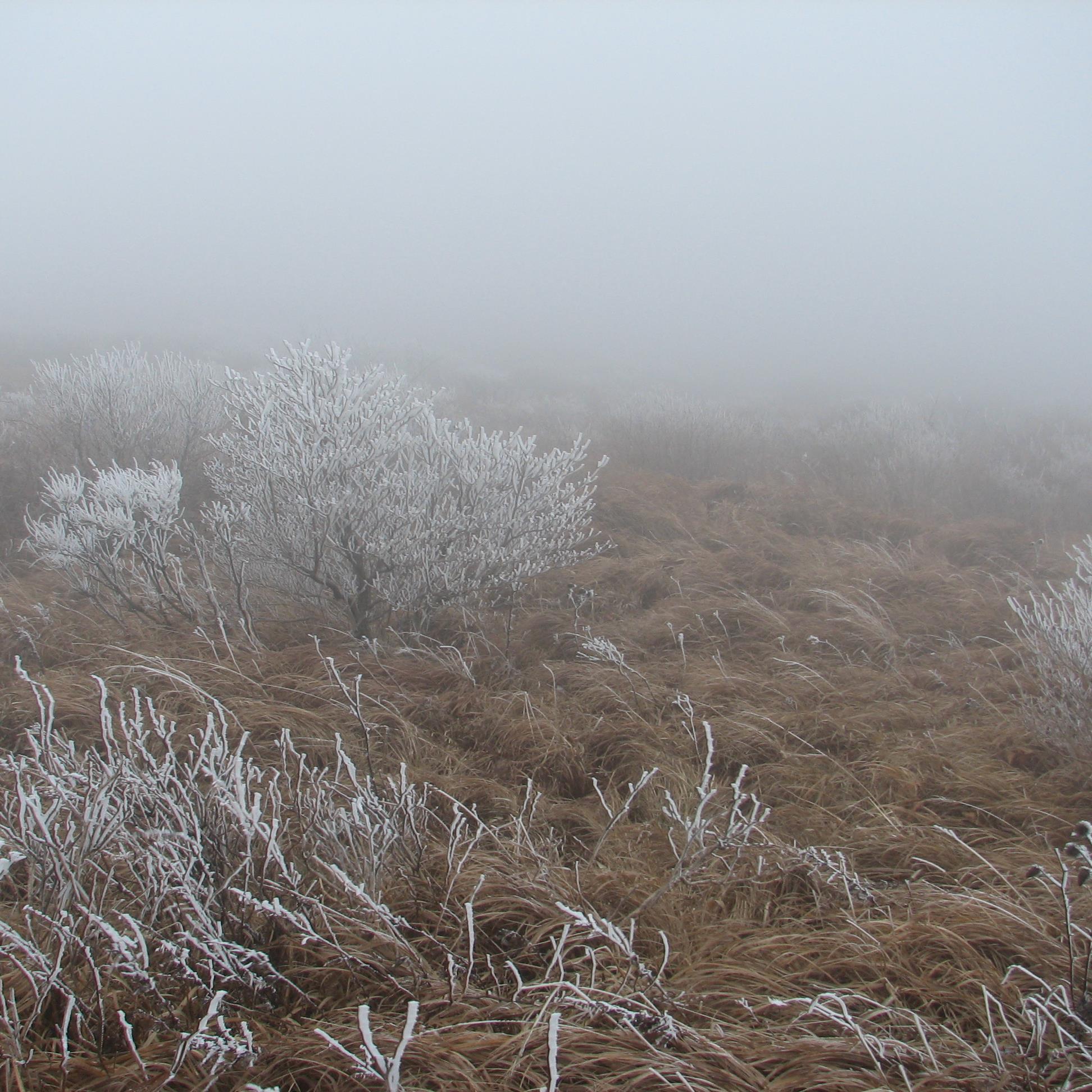 Hwlingst0rm's profile picture. 새삼 아직도 뭔가를 새로 시작할 수 있다는 나를 발견해 버렸다. 계획이 필요해 졌다.