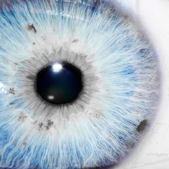 One look is not enough. You have to feel what you see.