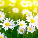 Morgan Darling - @morgandarling13 - Twitter