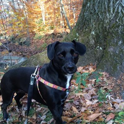 MaryMaryroth3's profile picture. 