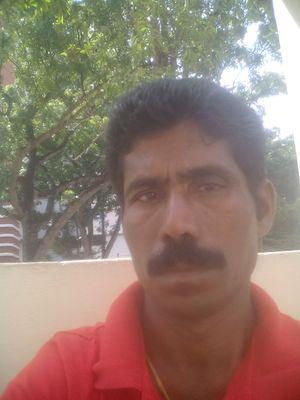 PALANIS29348408's profile picture. 