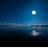 arhu's profile image