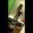 baileybae98's profile image