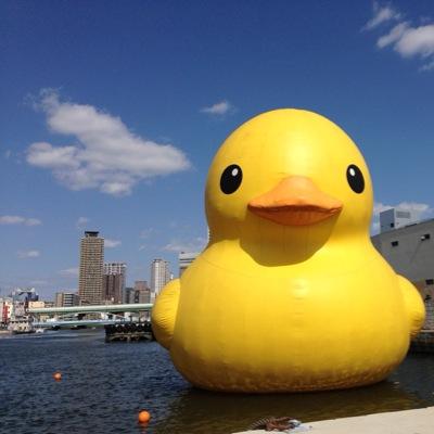 shikimederuneko's profile picture. 