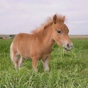 AbbiePowell8's profile picture. 