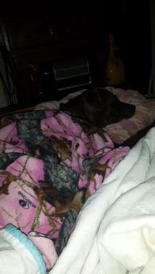 AliciaVanNest's profile picture. 