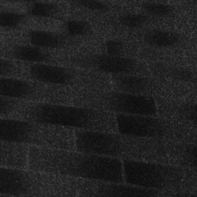 Tayla_dewet's profile picture. woof