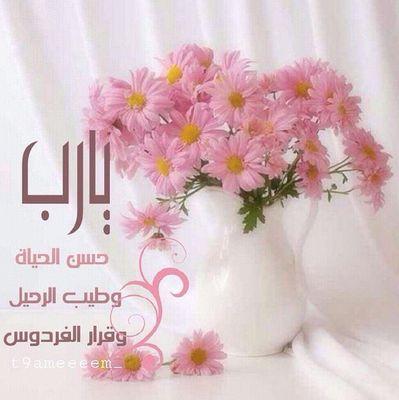 ولسوف تزهو بنآ جنّه ،تُزيل كل حُزنٍ عبر                                                                         اللهم أسألگ رضآگ والجنه.،،
