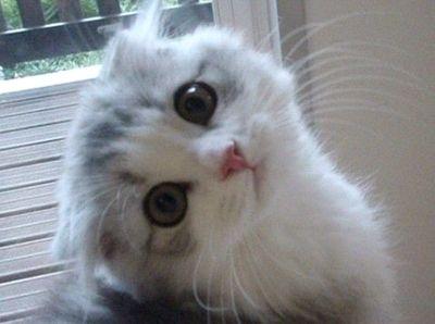 milasuarez18's profile picture. 