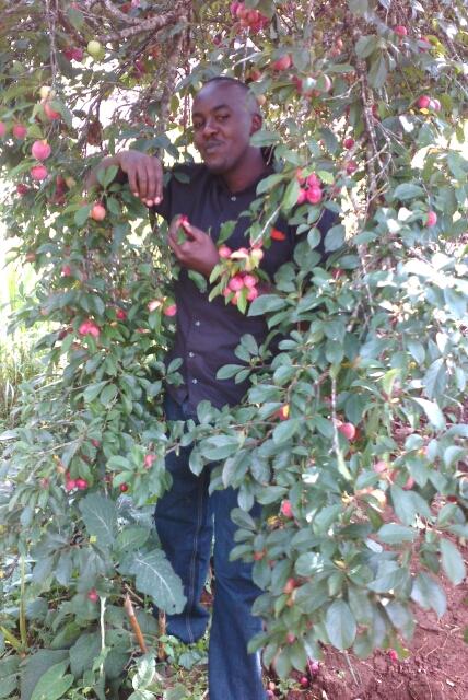 lawngas's profile picture. 