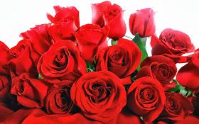 ghy_triany's profile picture. 1102♥