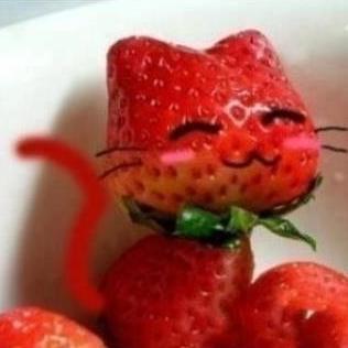 ✰; official food porn account of @cxnstellationrp