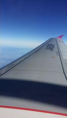 iloveallofkorea's profile picture. 