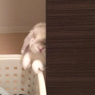 G1Xv52tVZCLOb6x's profile picture. 