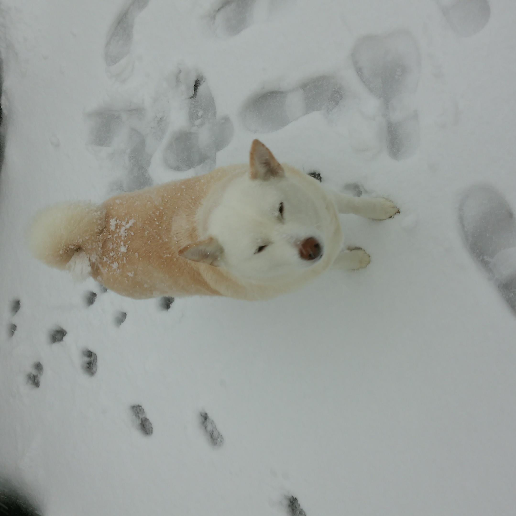 宜しく☺️