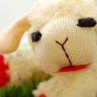 りえひつじ RIE's LAMB🐑 (@rieeela_jin1204) 's Twitter Profile Photo りえひつじ RIE's LAMB🐑 (@rieeela_jin1204) 's Twitter Profile Photo