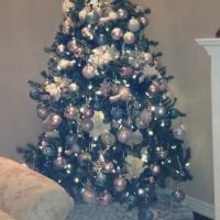 Get SwattedJosh (@itzjoshj) 's Twitter Profile