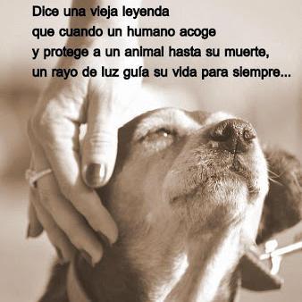 VERO78LP's profile picture. 