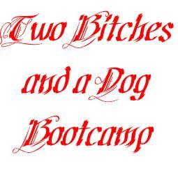 Dog Trainer/Obedience Instructor/Behaviorist with 20 years experience. Owner of Professional Dog Training and Two Bitches and a Dog Bootcamp.